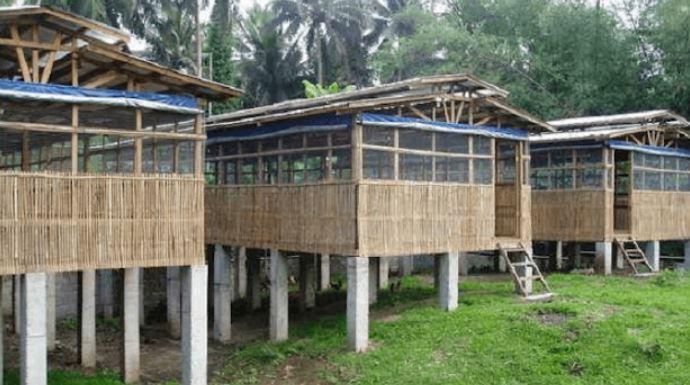 Kandang postal