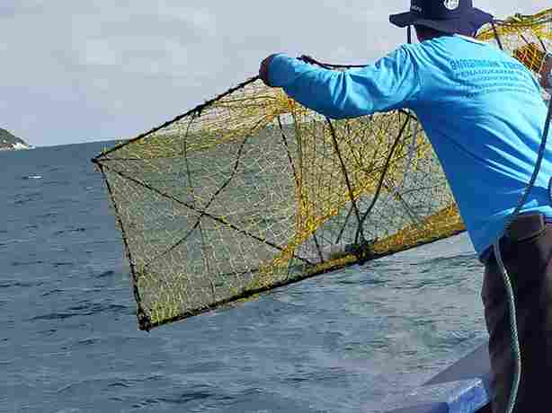 Bubu