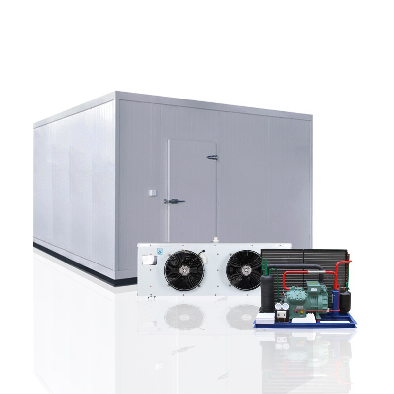 chest freezer vs cold room