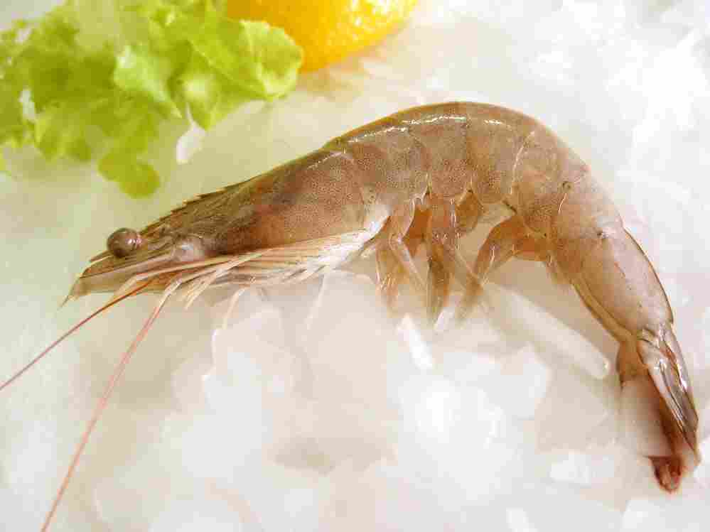 udang vanname