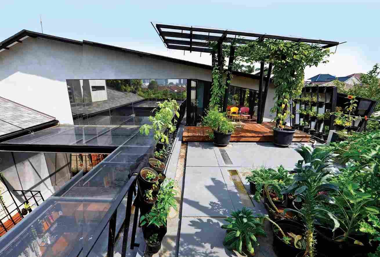 apa itu urban farming