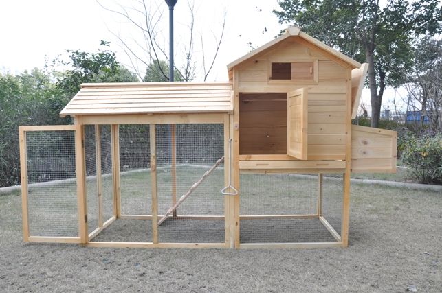 Kandang ayam rumahan