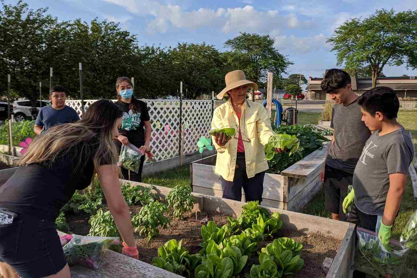 apa itu urban farming