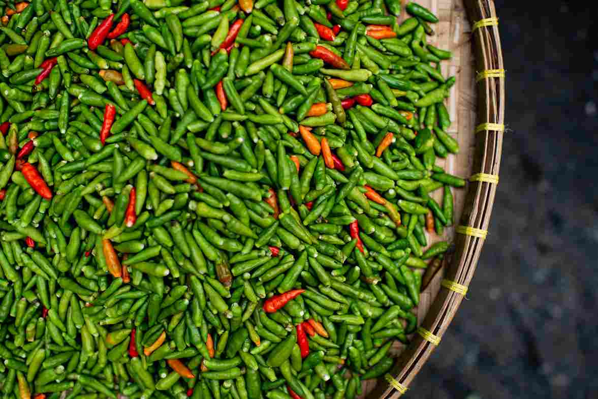 cara bisnis cabe