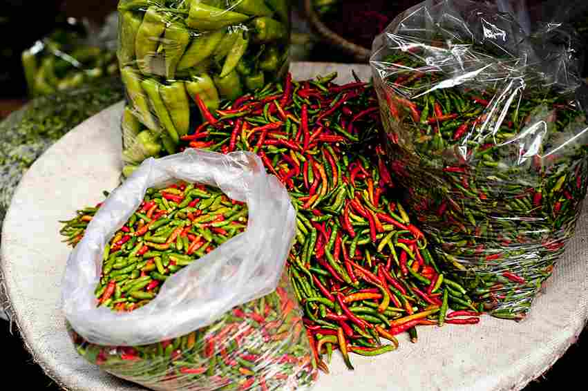 cara bisnis cabe