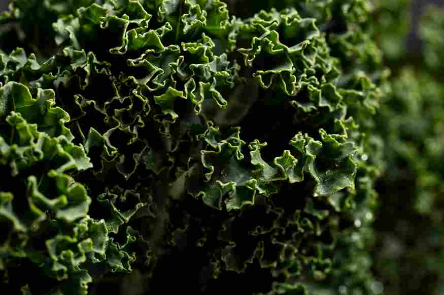 kale