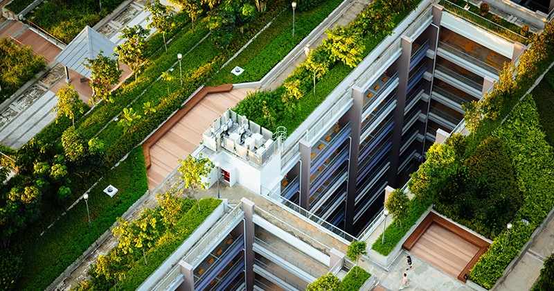 apa itu urban farming