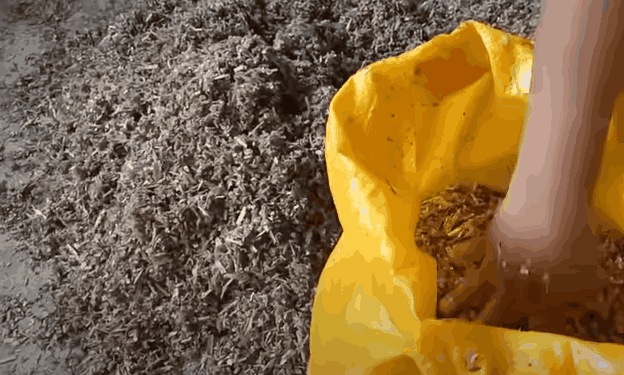 Peralatan kandang ayam broiler