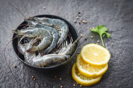 sistem budidaya udang vaname