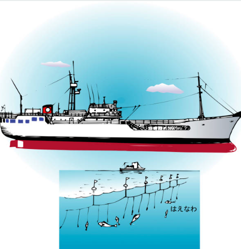 rawai tuna/long line