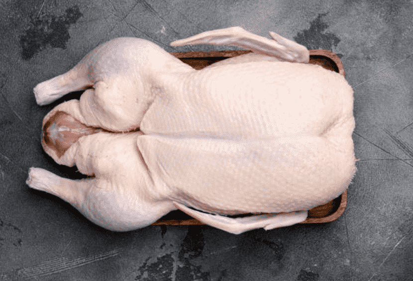 hasil ayam probiotik