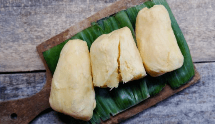 probiotik ayam broiler