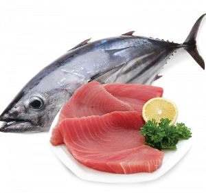 ikan tuna