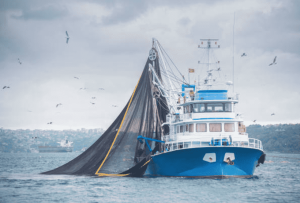 kapal penangkap ikan