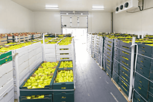 jenis cold storage