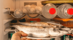 penyimpanan ikan