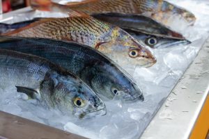 ikan segar