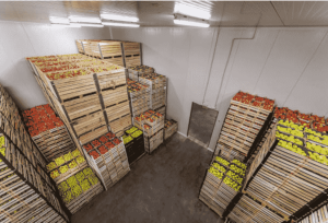 kapasitas cold storage