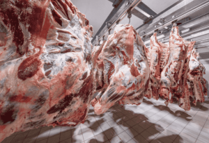 sistem ruang cold storage