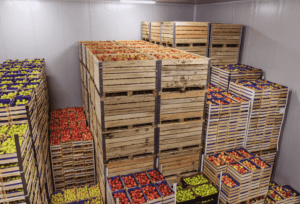 sistem ruang cold storage