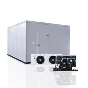cold storage