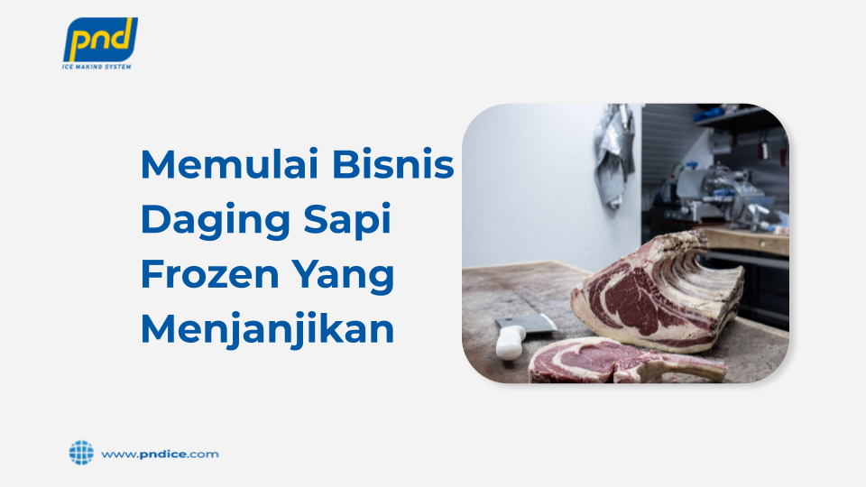 memulai bisnis daging sapi