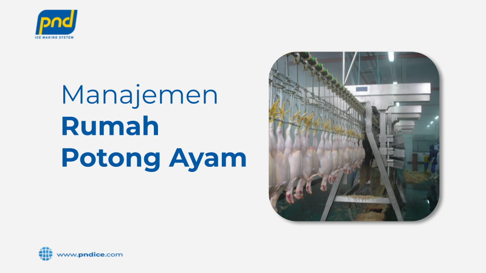 manajemen rumah ayam potong