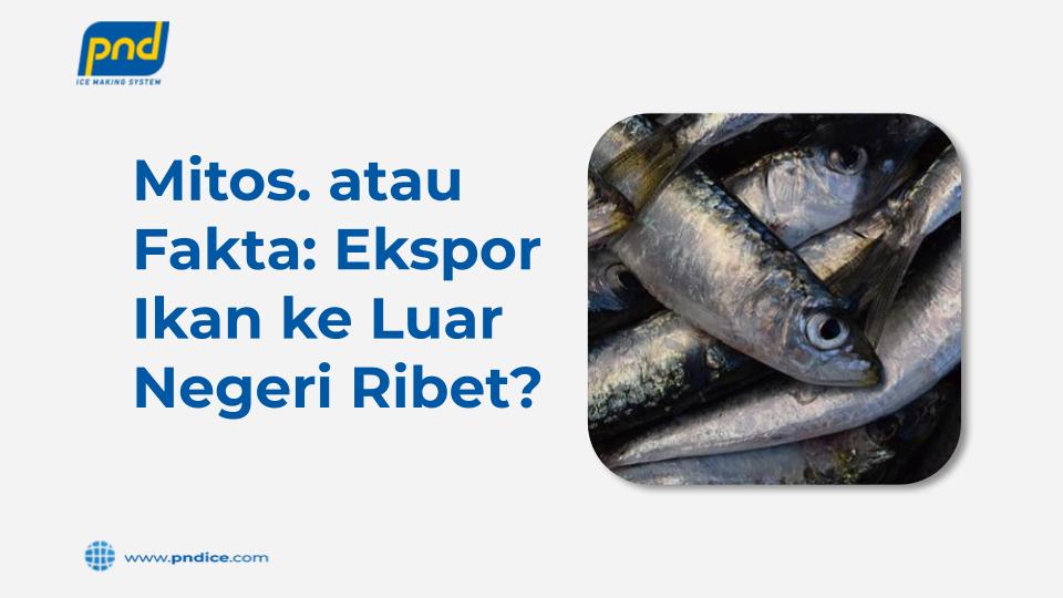 Bisnis ekspor ikan ke luar negeri