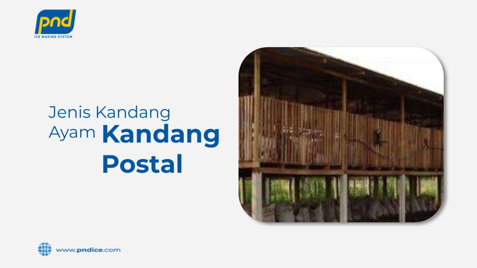 kandang postal