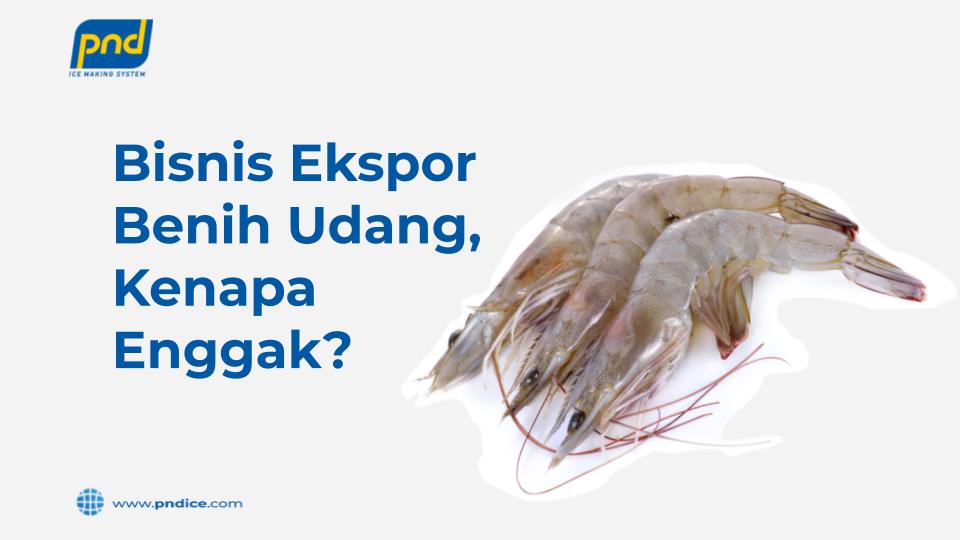 bisnis eskpor udang