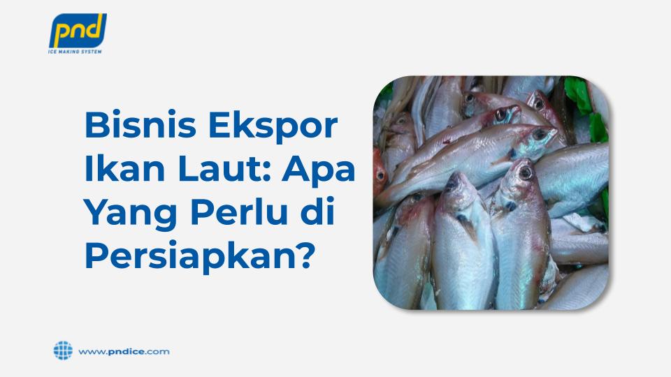 ekspor ikan laut