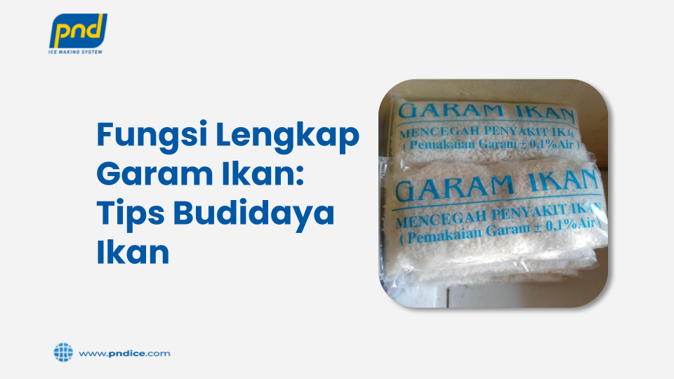 Fungsi Lengkap Garam Ikan: Tips Budidaya Ikan