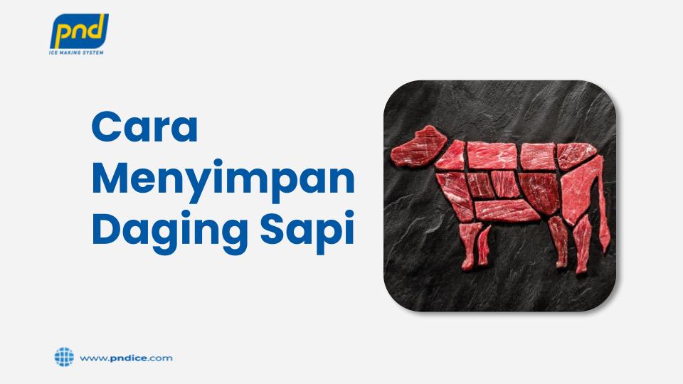 Cara Menyimpan Daging Sapi
