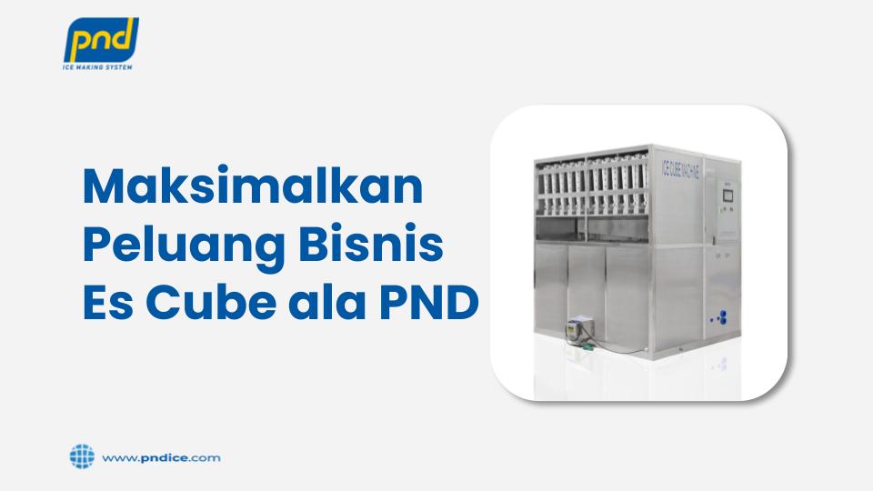 Peluang Bisnis Es Cube