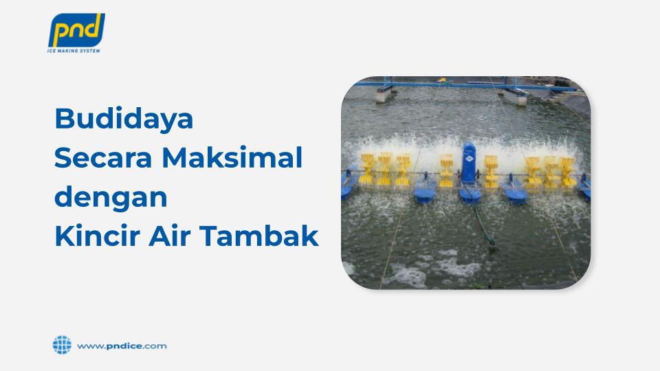 Kincir Air Tambak