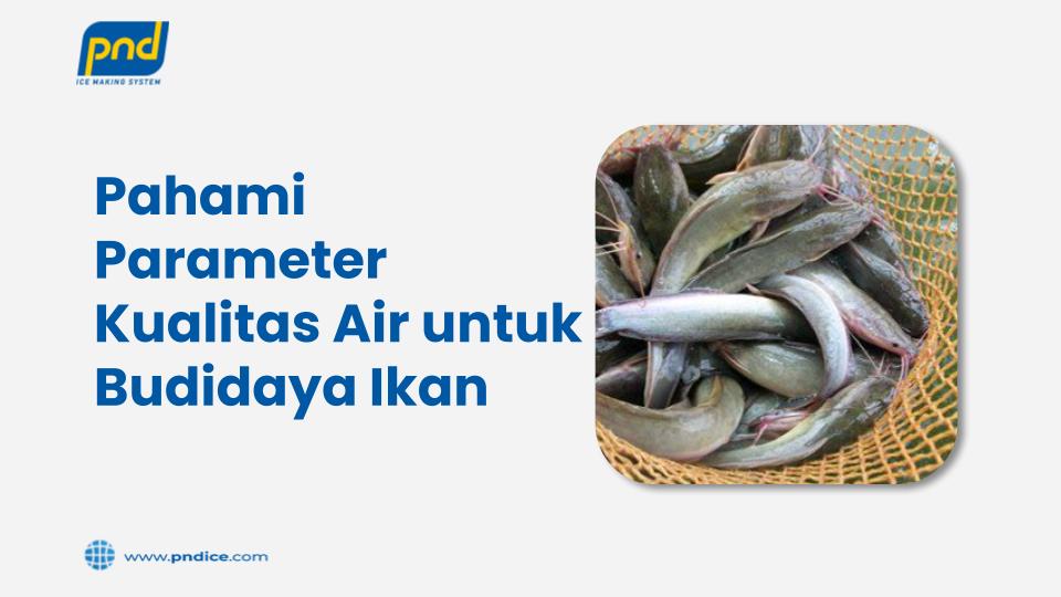 Parameter Kualitas Air Untuk Budidaya Ikan