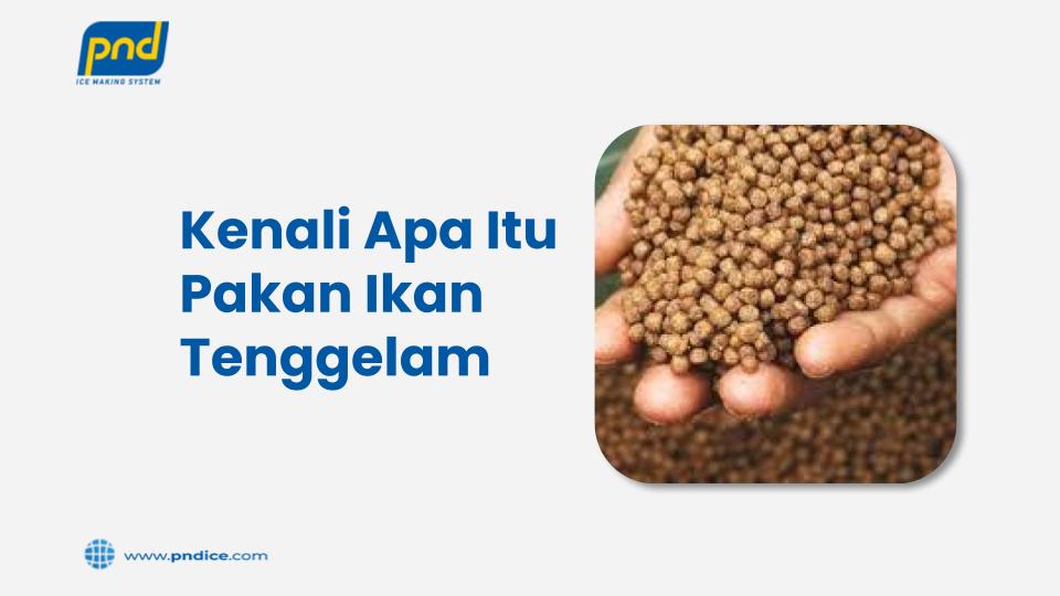 Kenali Apa Itu Pakan Ikan Tenggelam