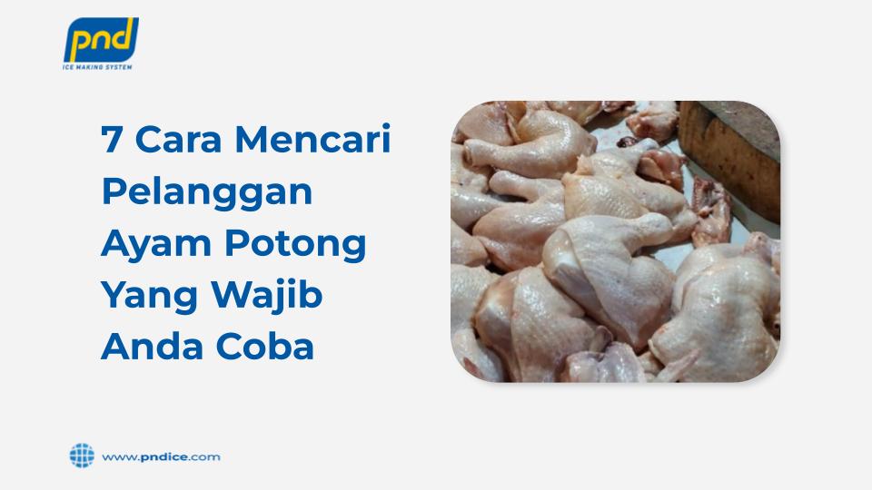 cara mencari ayam pelanggan potong