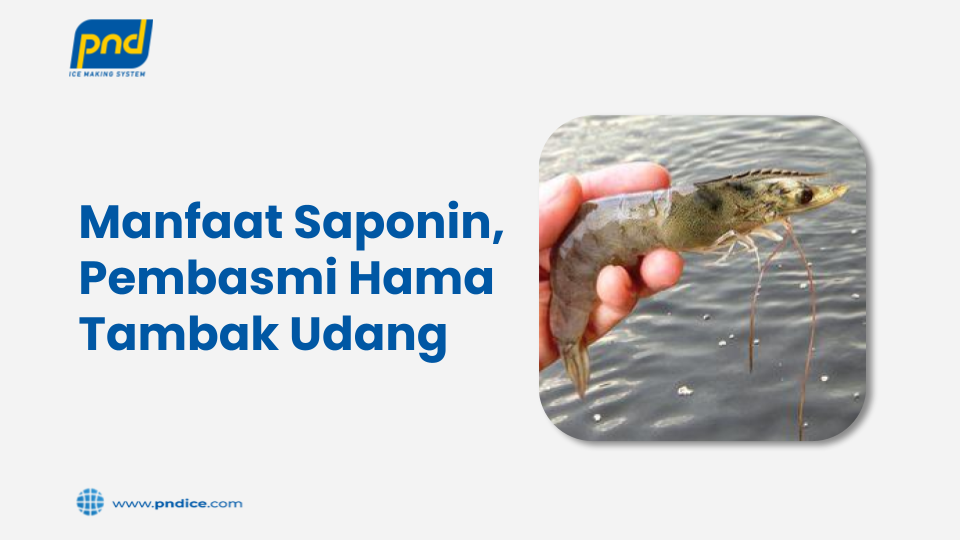 Manfaat Saponin