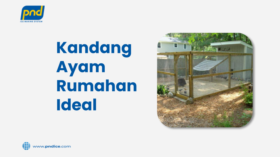 Kandang Ayam Rumahan