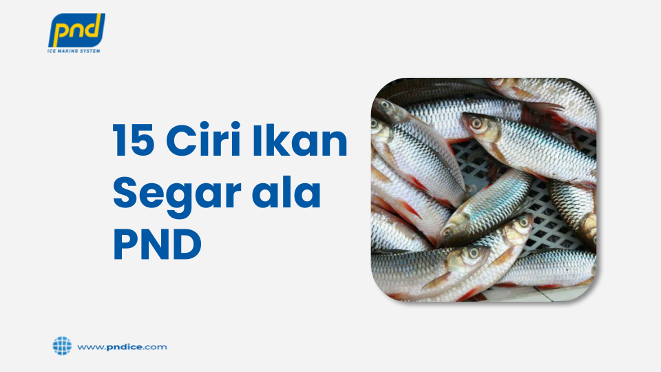 Ciri Ikan Segar