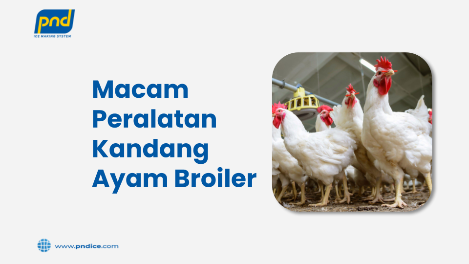 Peralatan Kandang Ayam Broiler