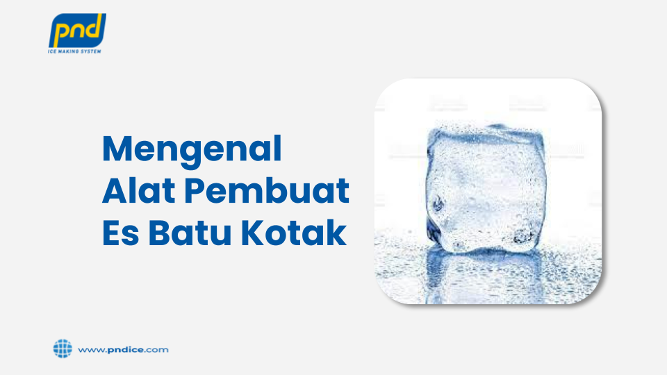 alat pembuat es batu kotak