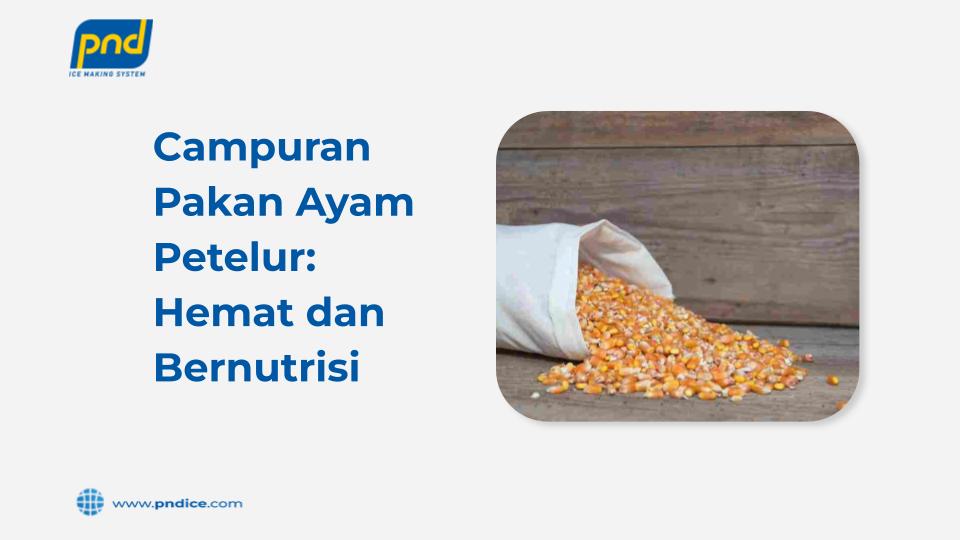 campuran pakan ayam petelur