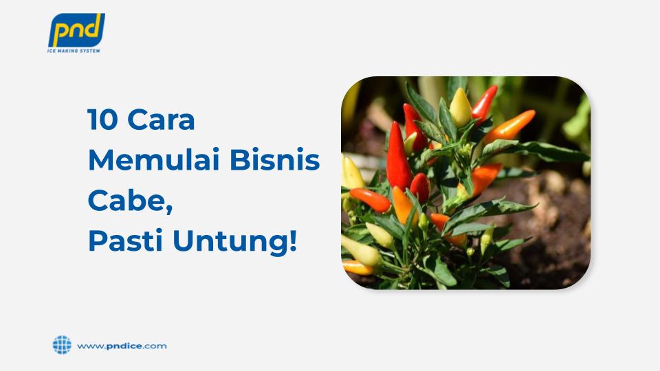 cara bisnis cabe