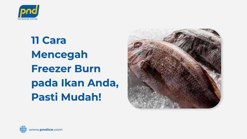 freezer burn
