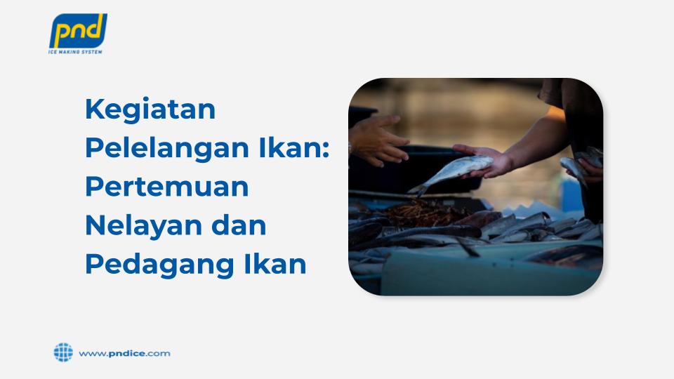 kegiatan pelelangan ikan