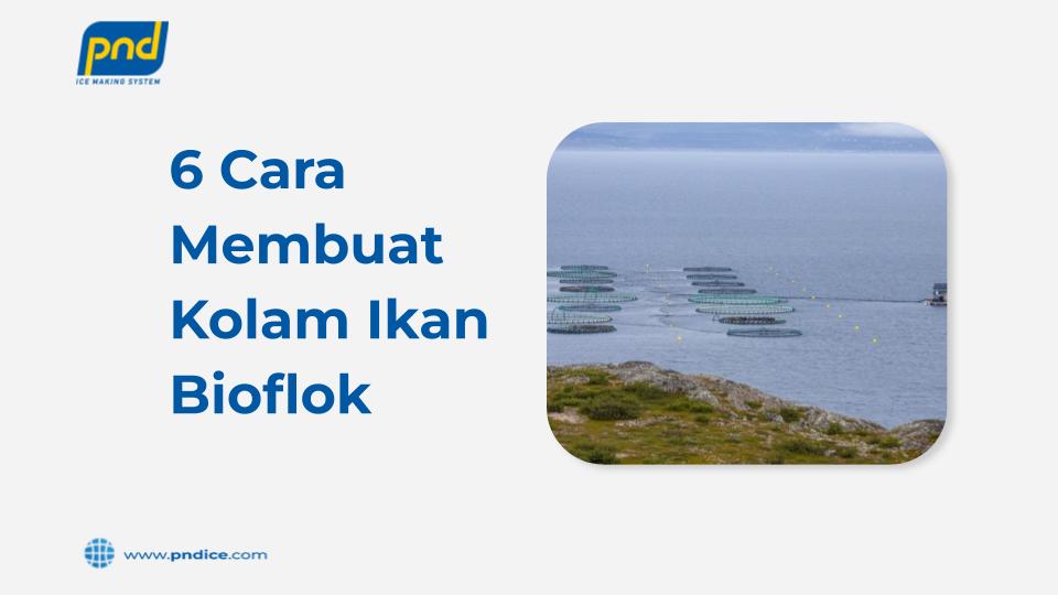 kolam ikan bioflok