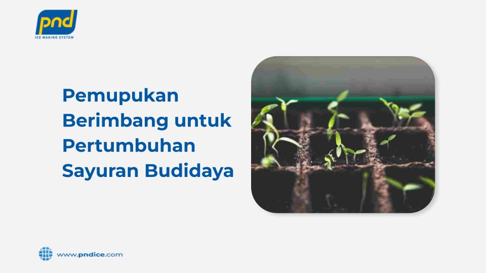 pemupukan berimbang