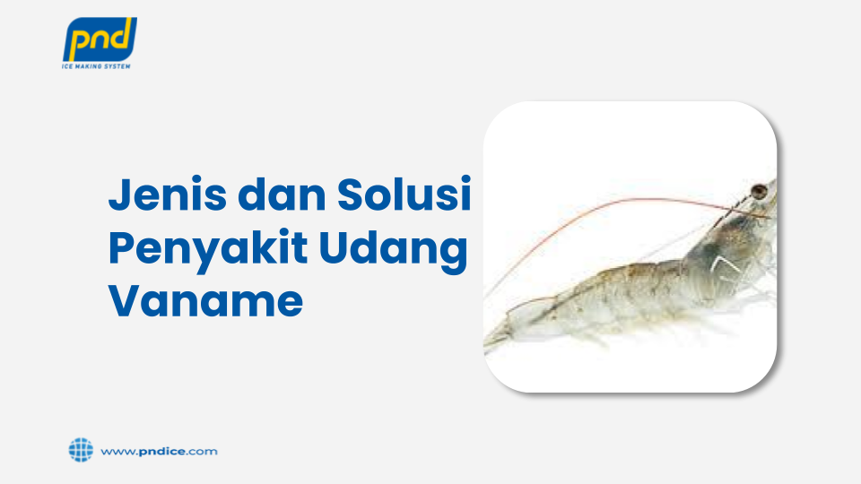 Penyakit Udang Vaname